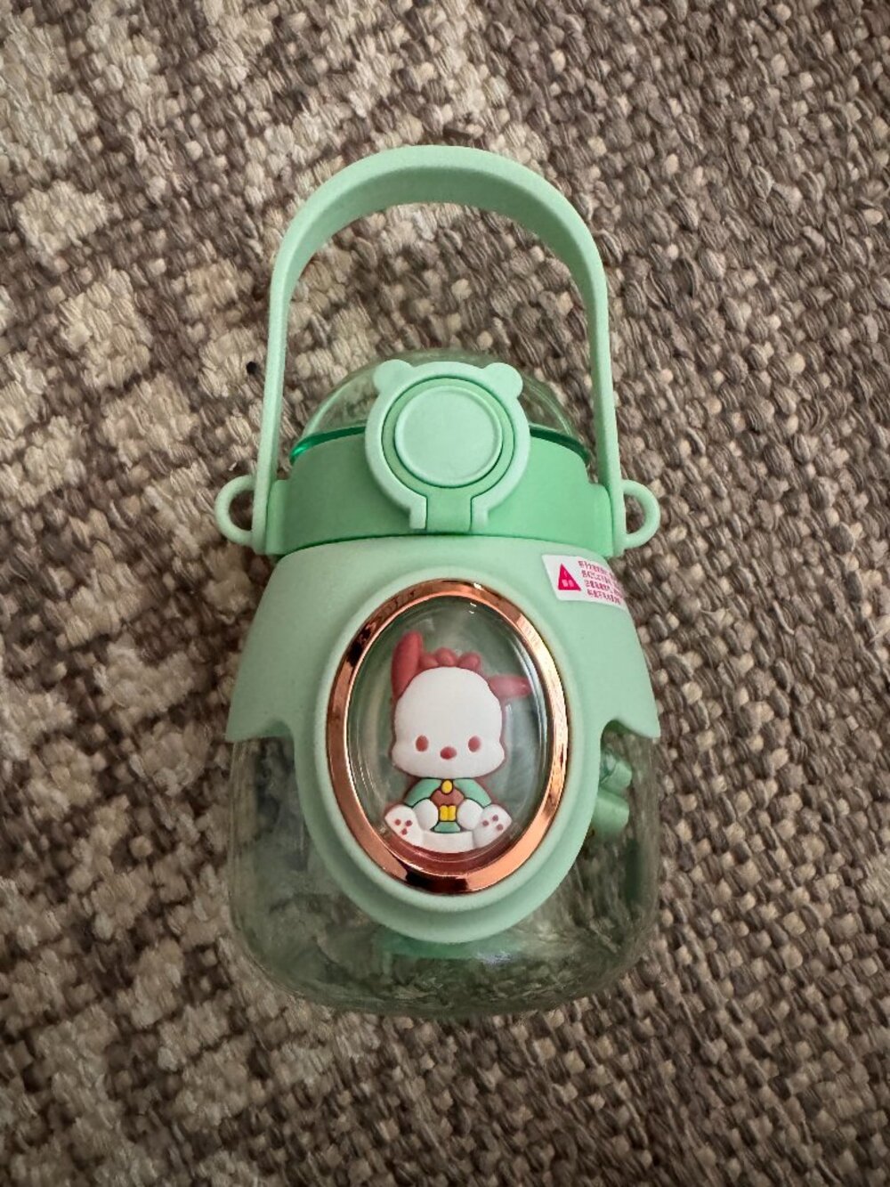 Pochacco Sanrio Mint Green Kids Water Bottle Canteen Straw Strap NEW